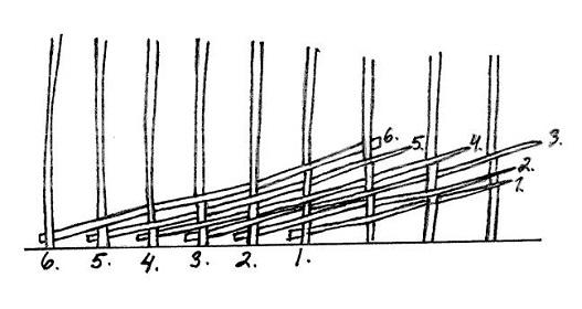 Laidan punonta, mallikuva